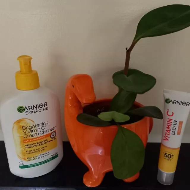 Here are my new favourite Garnier Vitamin C products to keep